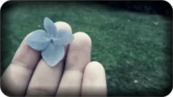 Flower in hand